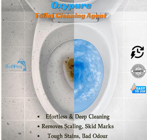 LD Pure Shine Toilet Cleaning Powder – 250g x 2