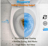 LD Pure Shine Toilet Cleaning Powder – 250g x 2