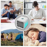 LD FrostFlow Mini Cooler