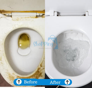 LD Pure Shine Toilet Cleaning Powder – 250g x 2