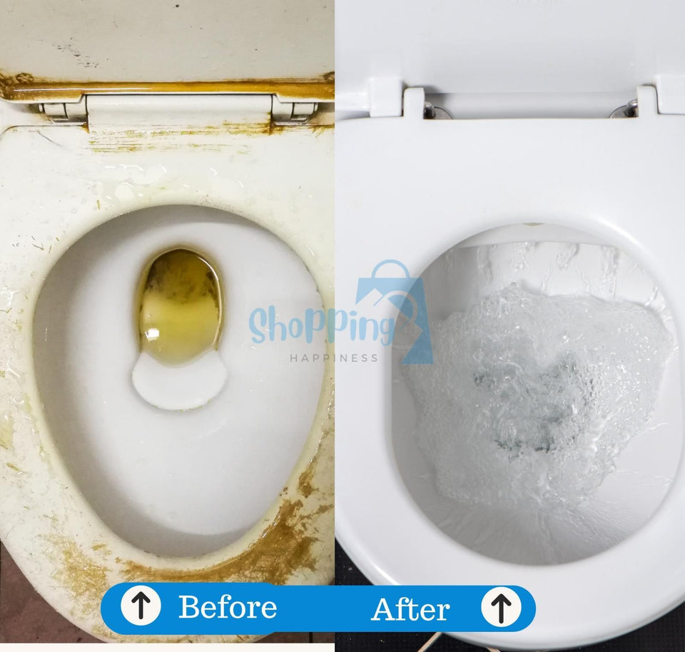 LD Pure Shine Toilet Cleaning Powder – 250g x 2