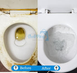 LD Pure Shine Toilet Cleaning Powder – 250g x 2