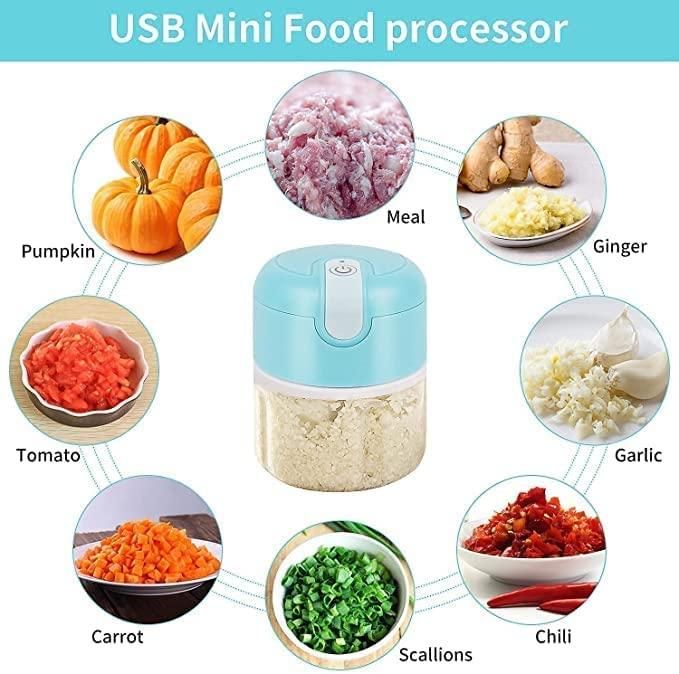 LD PowerMini Food Chopper