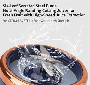 LD Portable Juicer
