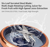 LD Portable Juicer
